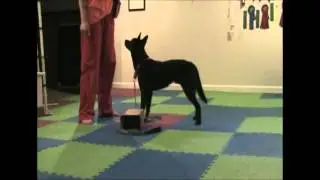101 Things To Do With a Box