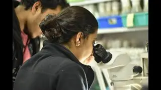 Basics of Microscopy / History and Principles of Microscope