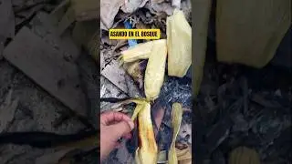 De paso por el bosque,  asando