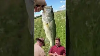 When they try and tell me, I need a permit #Fish #Bass