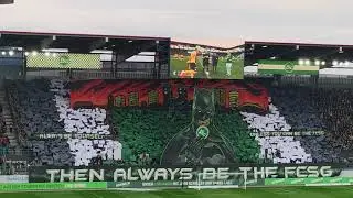 Choreo Espenblock FC St Gallen : BSC Young Boys