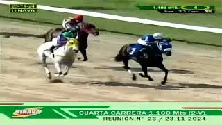 V180 | Sobrador | Hipódromo Nacional de Valencia | Reunión 23 | 2024