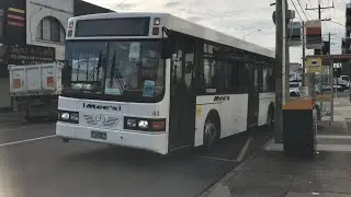 Mees #043 Mercedes Benz O405NH Volgren CR221L