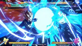 Fighterz
