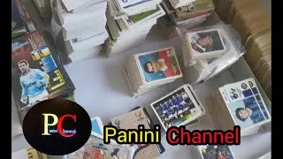 Panini Collection # 3