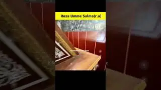 Roza Umme Salma(r.a)||Roza Umme Habiba(r.a) Wife Of Muhammad (s.a.w) #shorts #viral #muhammad