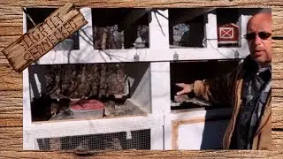 Keeping Quail Outside In The Winter - The SR Quail Update 12-11-17
