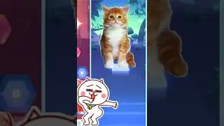 Cute Cat Harry Styles As It Was | Tiles Hop EDM Rush | #shorts #cat #cats