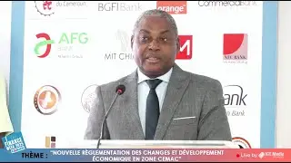 Louis Banga Ntolo (BVMAC) : &laquo; La CEMAC doit lever les freins aux transferts de la diaspora ! &raquo;