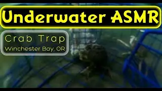 Underwater Crab Trap ASMR | Winchester Bay, Oregon (No Talking, Real Time)