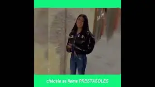 16 PRESTASOLES