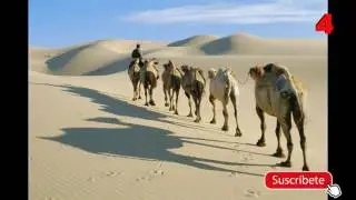 7 DESIERTOS MAS GRANDES DEL MUNDO