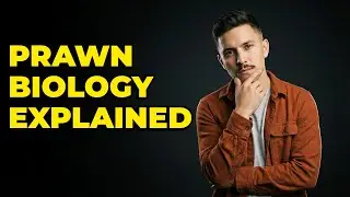 What Is The Alien Biology In District 9?