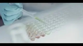 Allergy Research Group | A Heritage of Innovative Products