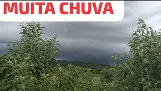 MAIS CHUVA NO SERTÃO DA BAHIA 