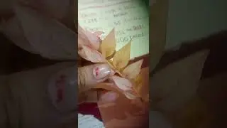 #craft#work #project of math#art #creative #ideas #trending