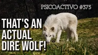 PLAYING GOD? Humans bring back the Dire Wolf from extinction after 10,000 years - Psicoactivo #375