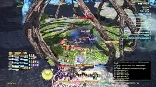 FINAL FANTASY XIV: Neverreap (SCH PoV)