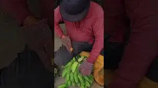 Harvest banana @unclesampisang -3