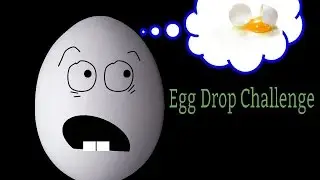Egg Drop Challenge:  Team Building April 2016