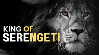 KINGS OF SERENGETI: Inkahoma Lion Pride | Nature Hindi documentary| Wildlife Documentary in Hindi