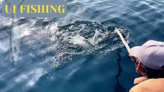 Fish Hunt | Deep Arabian Sea | My First Video | Tuna Fish | King Mackerel | #fishing #viral #sea