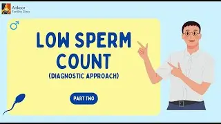 Low Sperm Count | Diagnostic Approach Part 2 | Explained Simply