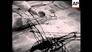 POLISH PAINTER