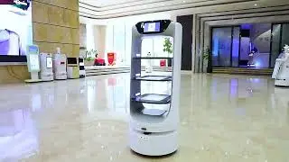 Food Delivery Robot