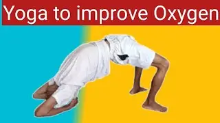 Yoga to Improve Oxygen Level | @yogaandfitnesswithshiva #yoga #love #challenge #motivation 
