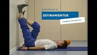 Estiramiento de la Cadena Posterior