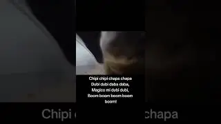 remic Чипи Чипи Чапа Чапа demo version Chipi chipi chapa chapa