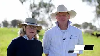 The cattle are happy and that makes us happy - Jim & Jackie Wedge, Ascot Cattle Co