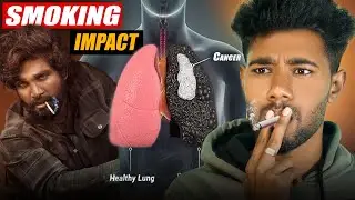 Effects of Smoking 🚭 The Secret History of Cigarettes 🚭 IND
