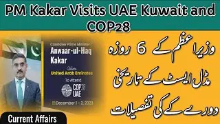 Analysis of PM Kakar's six days long Middle East visit and COP28 | PM Kakar at Cop28
