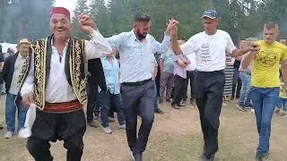 EVO I JEDNOG NASEGA DIVNOG GOSTA IZ BOSNE NA VASAR DZEREKARE 2025 GOD
