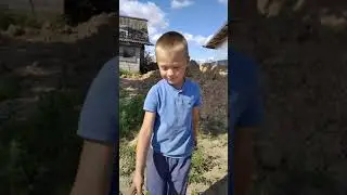 бургеры