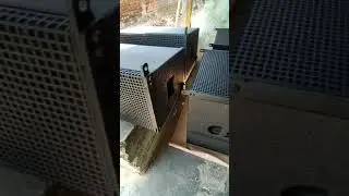 vera line array 10