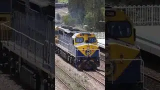 C502, RL304 and C505 passing Warabrook hauling 5448 to Carrington  #ssr #train #australia