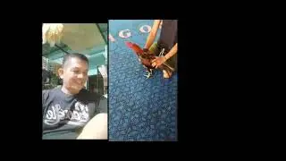 owner oktagon tantang h antoni