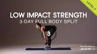 3-Day Split Low Impact Strength - Workout #3