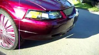 Candy Purple Mustang on 26