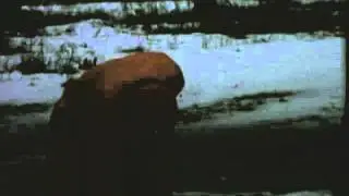 Home Movie: 98364: Michigan Family