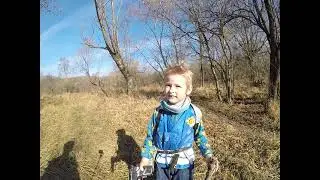 Bushcraft kids despre ursul brun