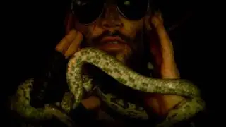 AUTORECALL SUPERVIZORS - cold night for alligators