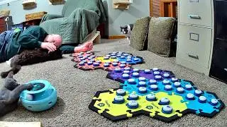 Starting to Model The Buttons For Henry and Floor Time With Todd