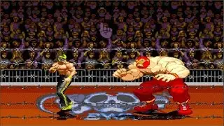 Falco VS. Red Cyclone