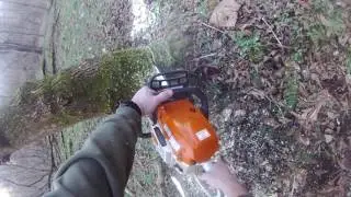 Box Elder tree takedown and cutting for flame red wood
