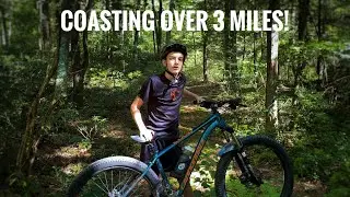 XC MTB Trails in Bald Eagle State Forest