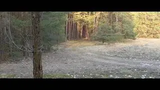Rozcest&iacute; | zalmer power